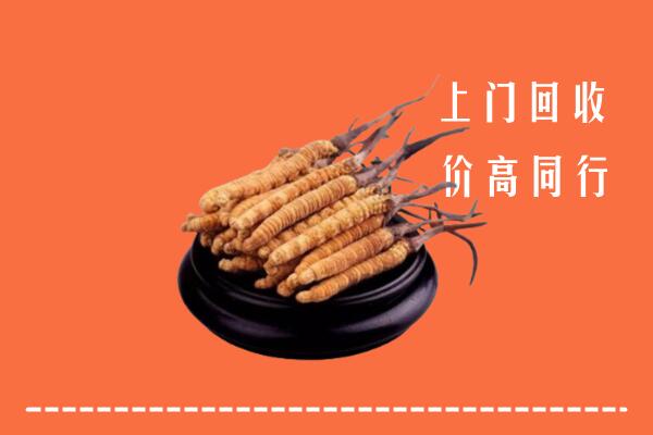 高价求购：佛山顺德回收散虫草