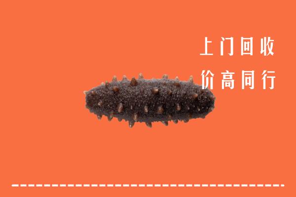 高价求购：佛山顺德回收海参
