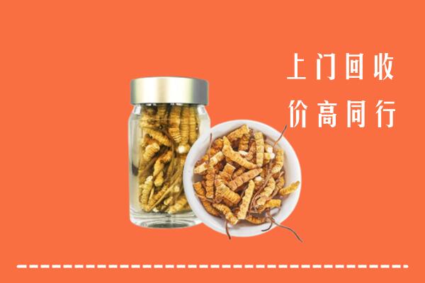 佛山顺德回收冬虫夏草