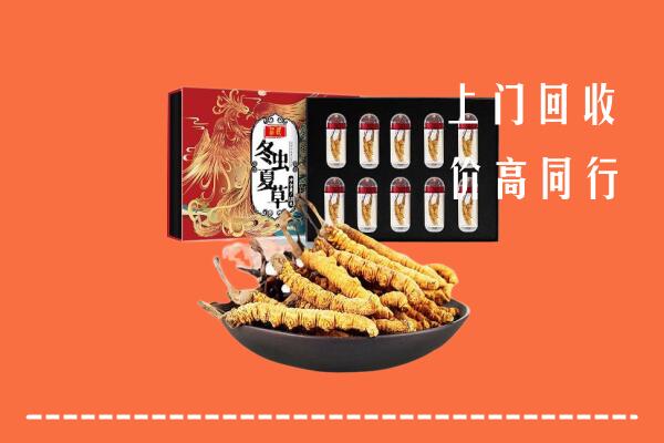 佛山顺德回收虫草